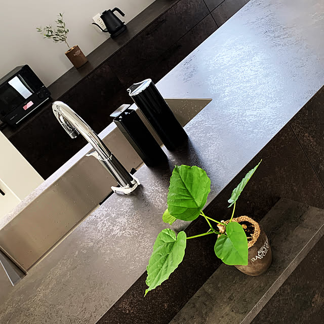 観葉植物/モノトーン/キッチンハウスのキッチン/キッチンのインテリア実例 - 2021-08-12 09:53:42