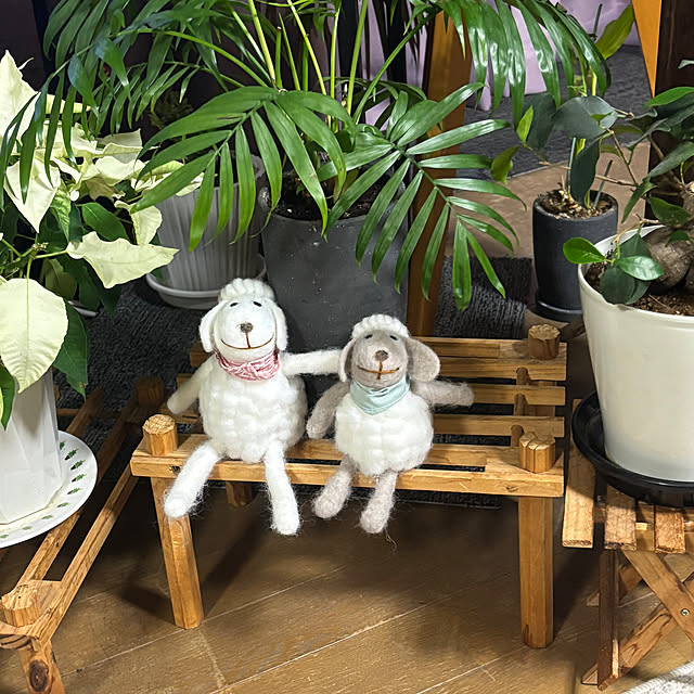 Smilkazuさんの実例写真