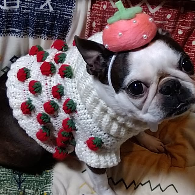 maiさんの実例写真