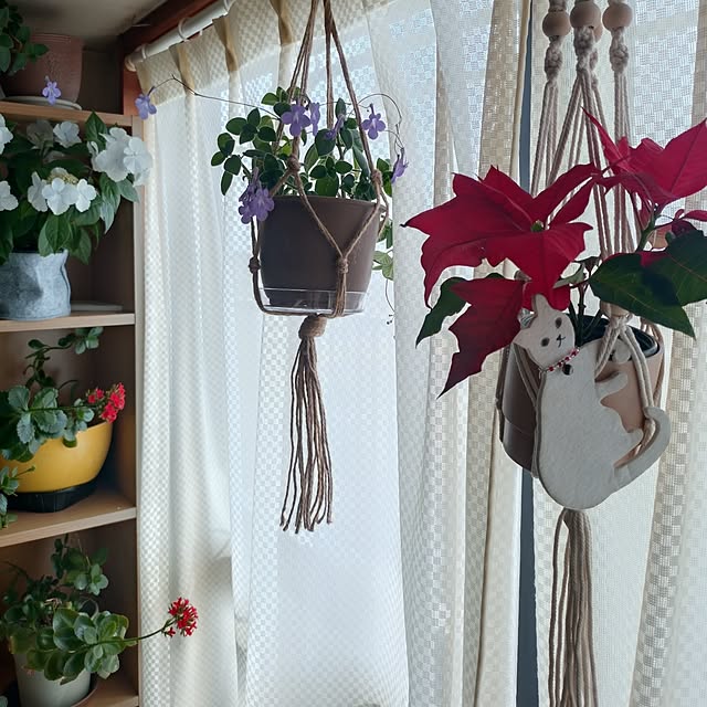 NOAHさんの実例写真