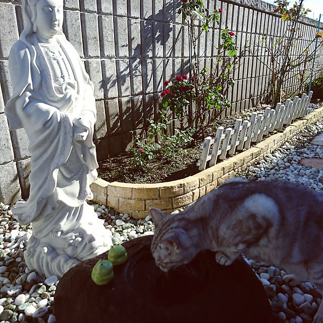 machikomamaさんの実例写真