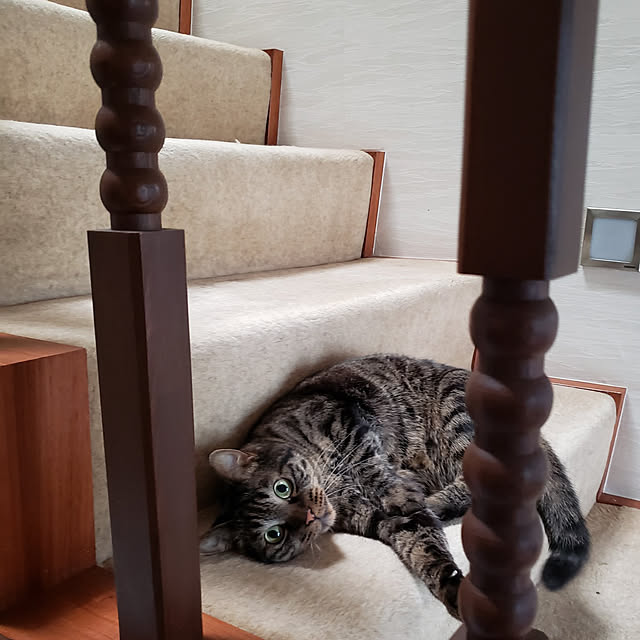 Mayumi8888さんの実例写真