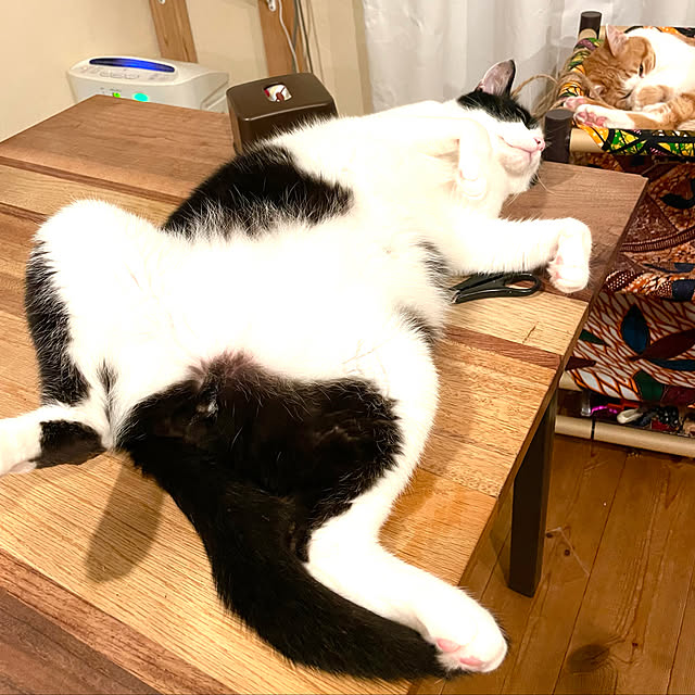 miecoroさんの実例写真