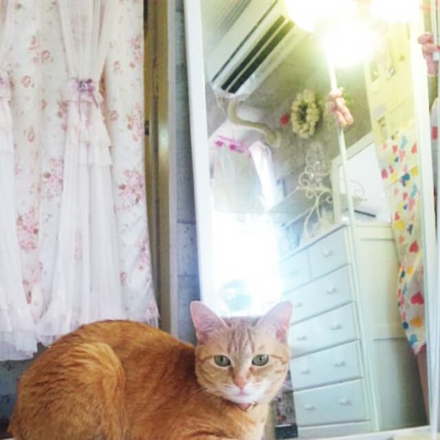 fu-ka24さんの実例写真