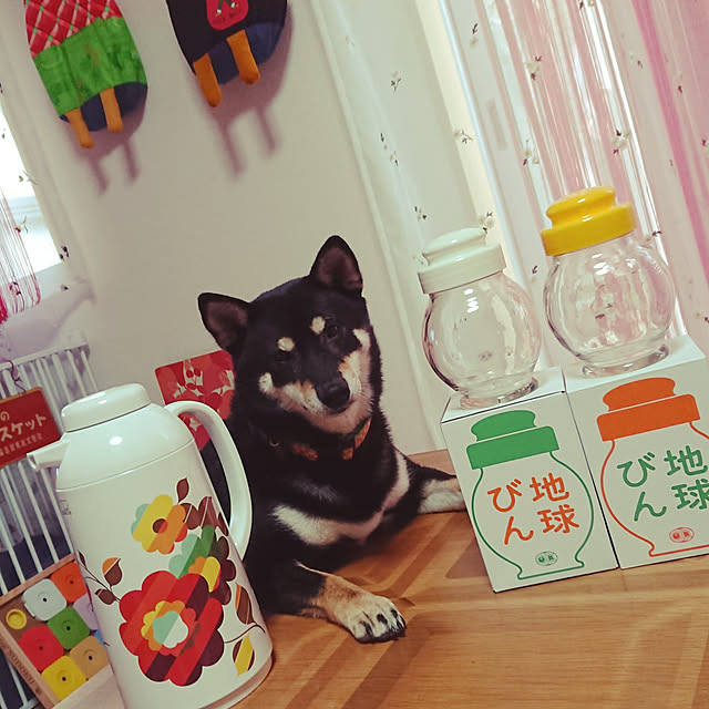 xxxakyxxxさんの実例写真