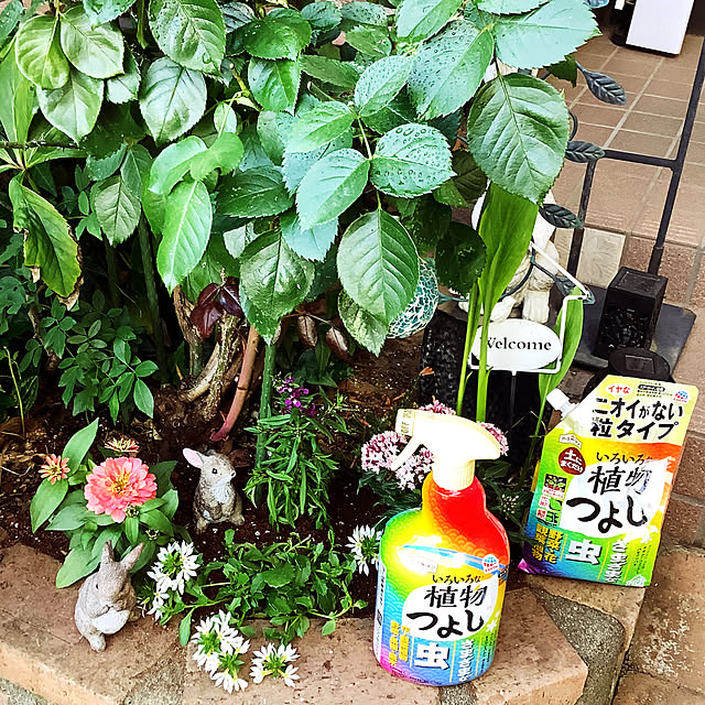 taeさんの部屋