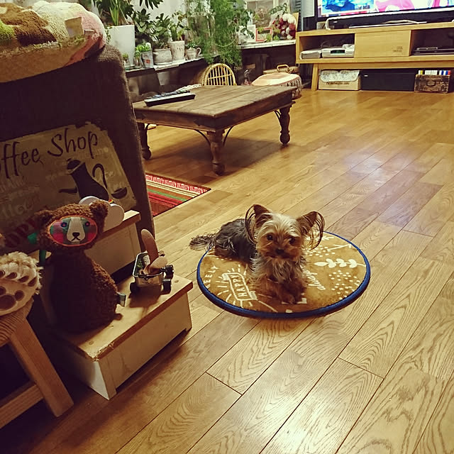 akiさんの実例写真