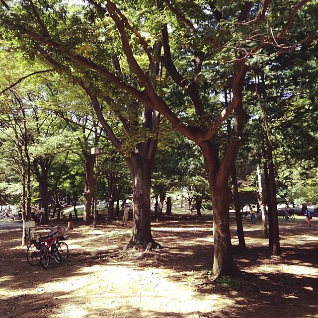 Naoki.さんの実例写真