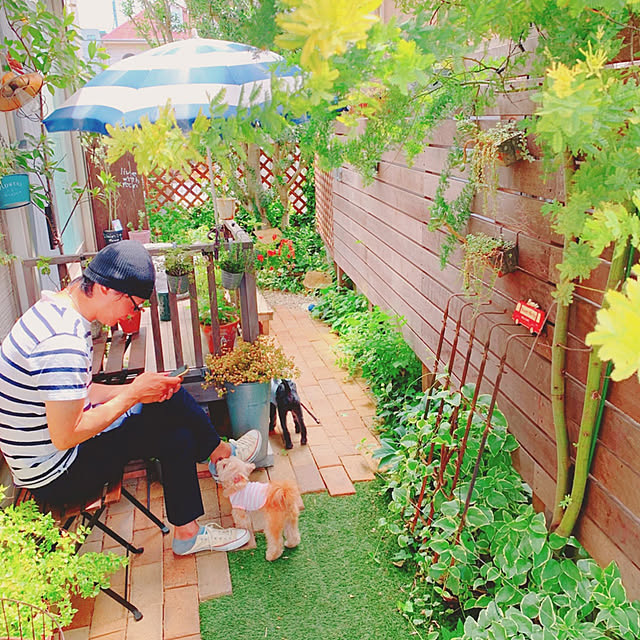 risaさんの実例写真