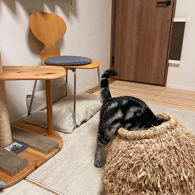 mkmkmoominさんの部屋