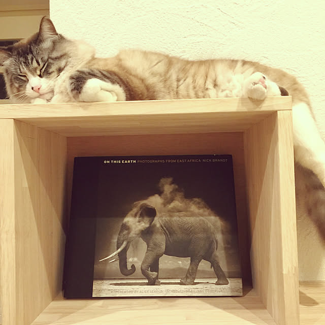 masyacanonさんの実例写真
