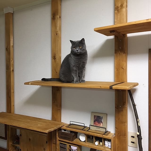pochacoさんの実例写真