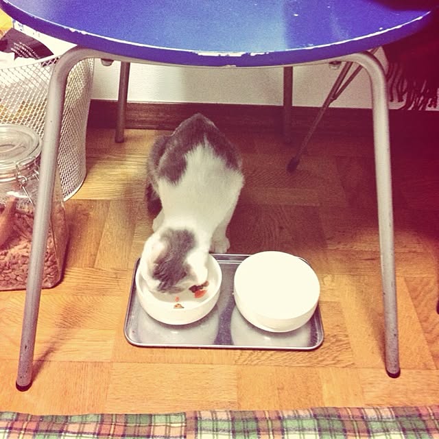 yukosさんの実例写真
