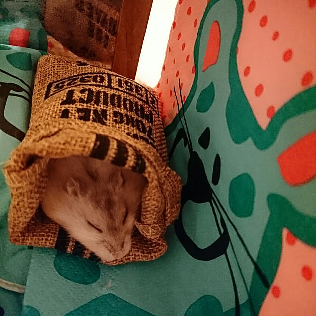 kmkさんの実例写真