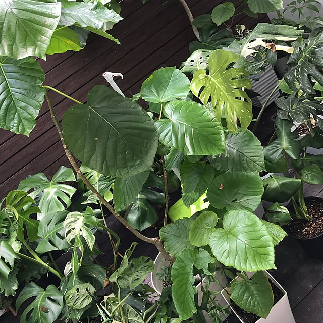 Namiさんの実例写真