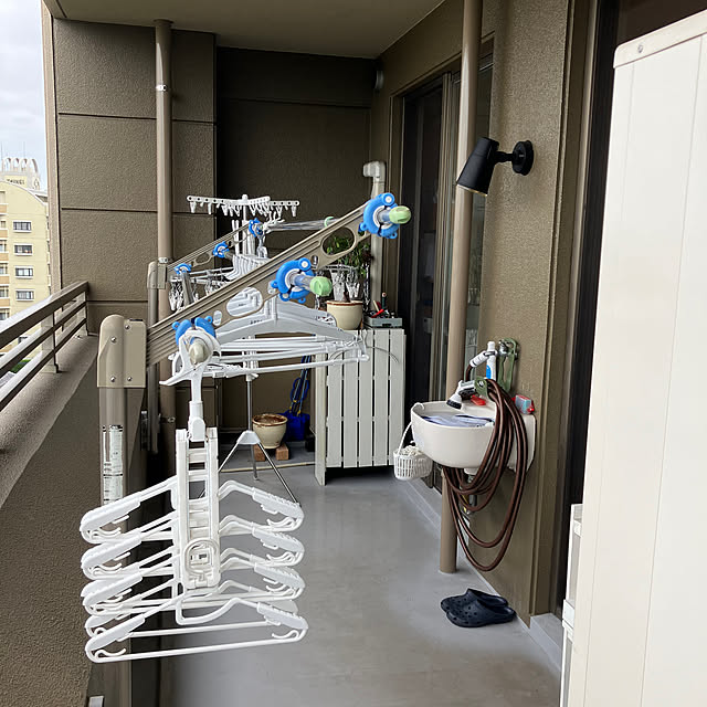 koshiregutyoさんの部屋