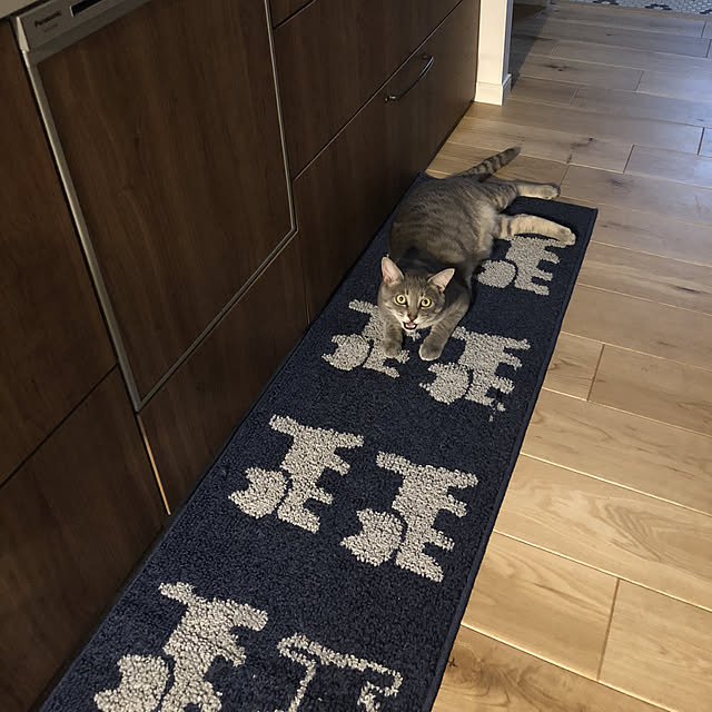 kuu511さんの実例写真