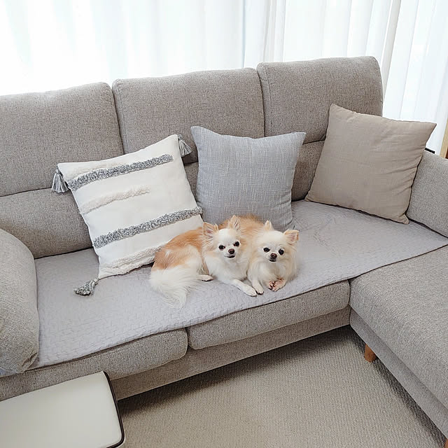 macoさんの実例写真