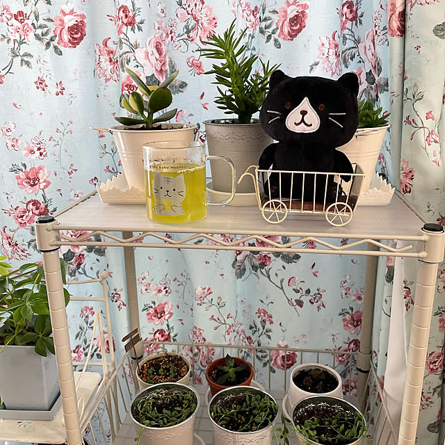 momocchiさんの実例写真