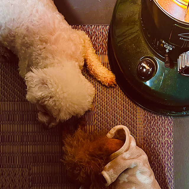 chacoさんの実例写真