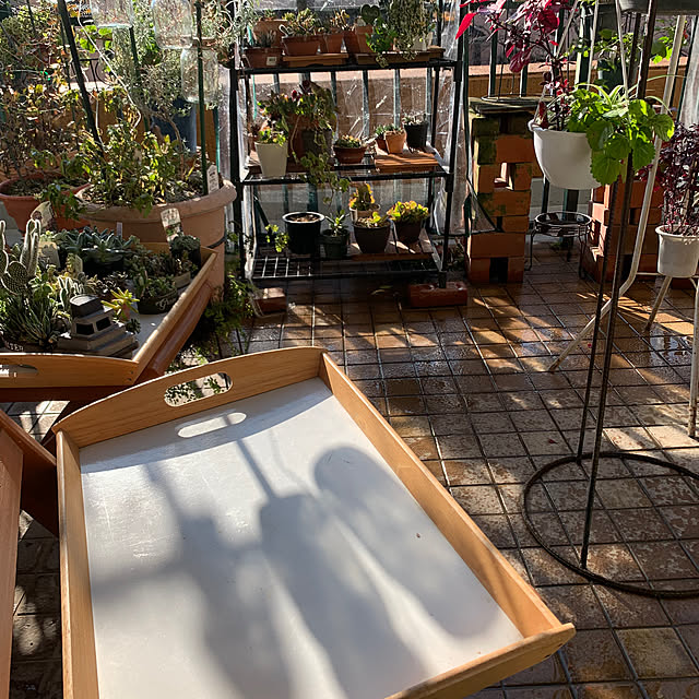 Aqettyさんの部屋