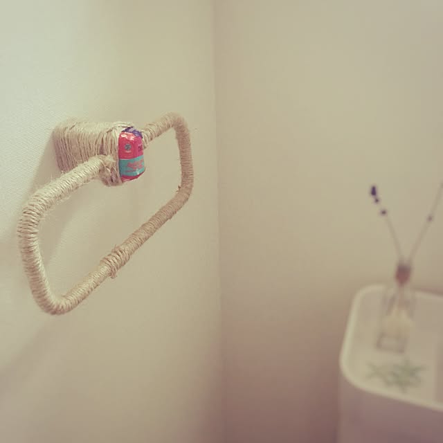 haniさんの実例写真