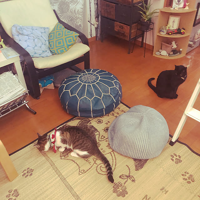 jijiさんの実例写真