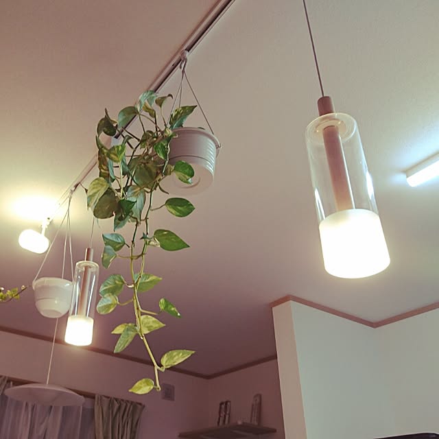 HoshiYukiさんの実例写真