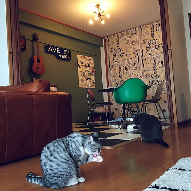Shojiさんの実例写真