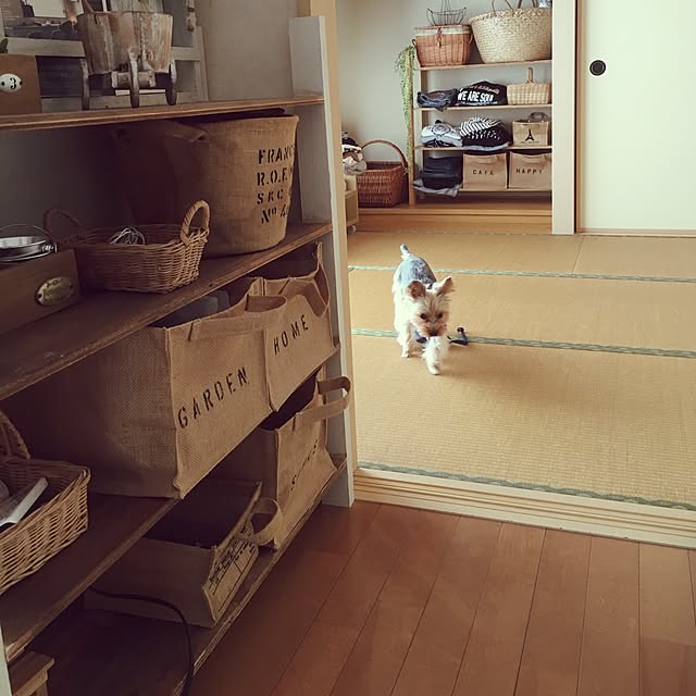 mayuoさんの実例写真