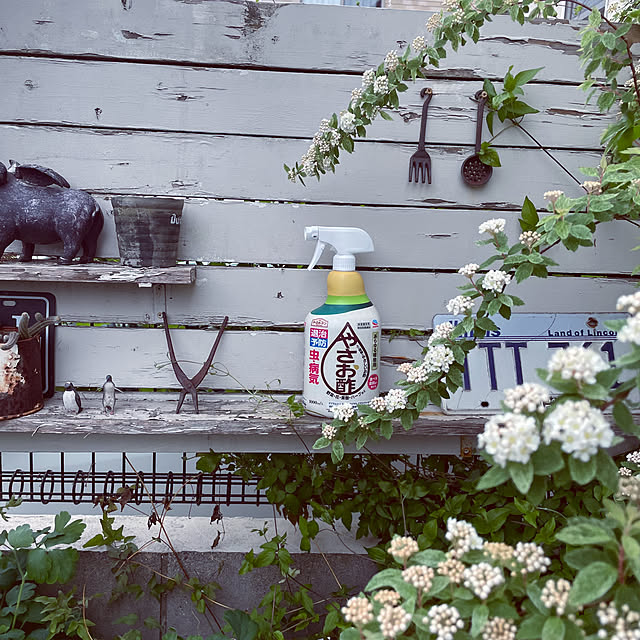 yupponさんの実例写真