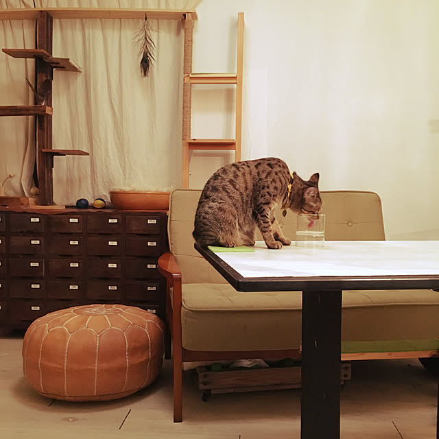 Mさんの実例写真