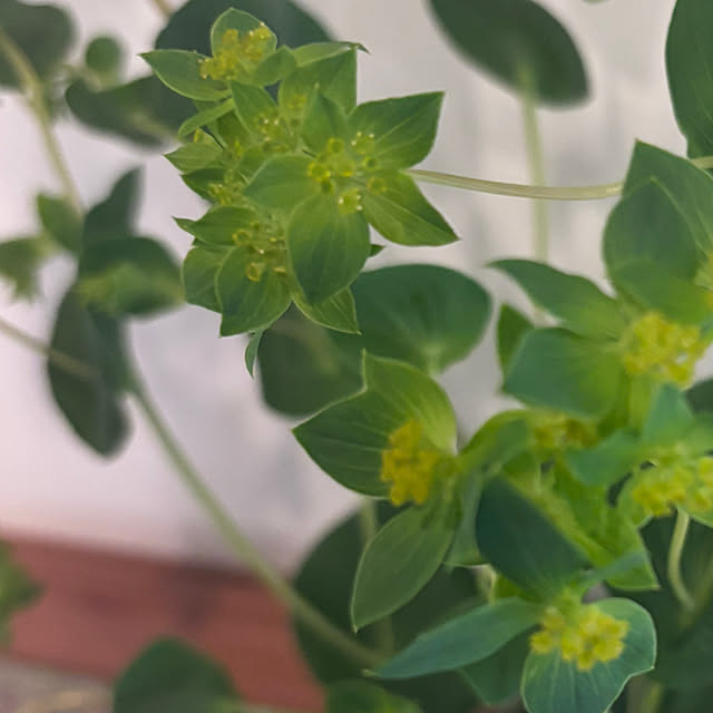 syutmmさんの部屋