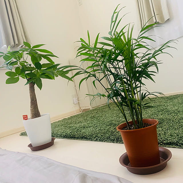 観葉植物/ニトリ/一人暮らし/ベッド周りのインテリア実例 - 2019-10-13 09:15:42