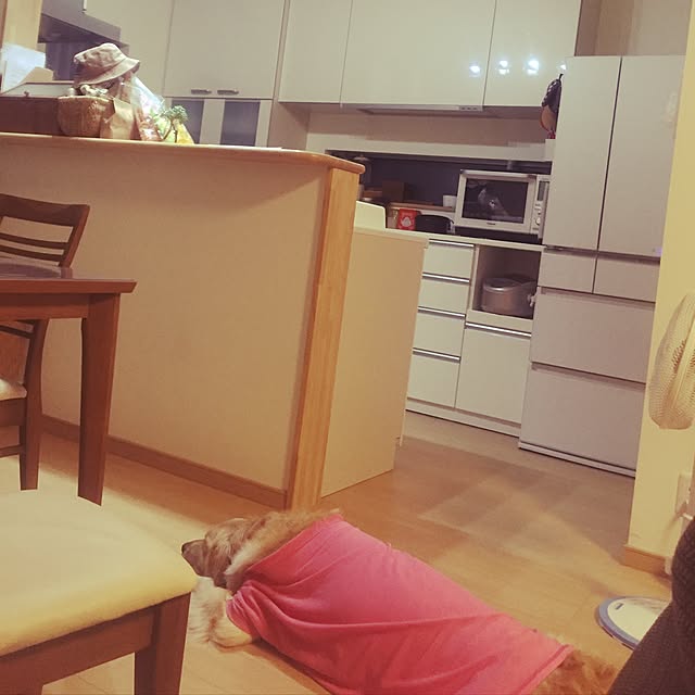 Kazueさんの実例写真