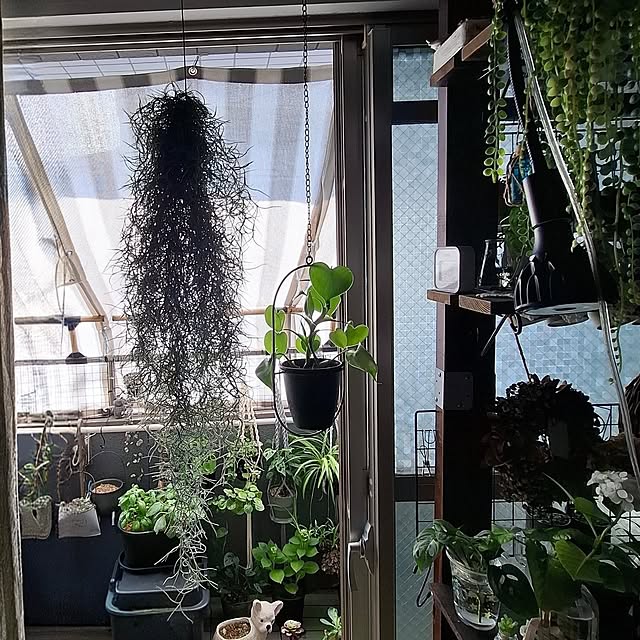 noaさんの部屋