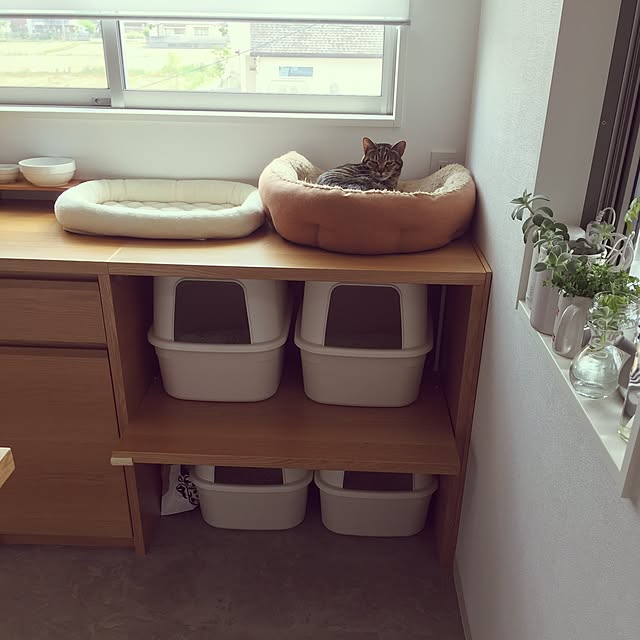 Yoshieさんの実例写真