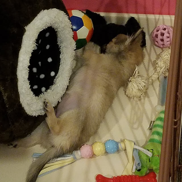 N+さんの実例写真