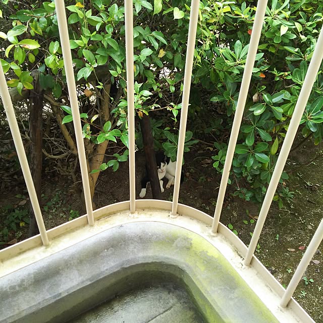 fuufuu1327さんの実例写真