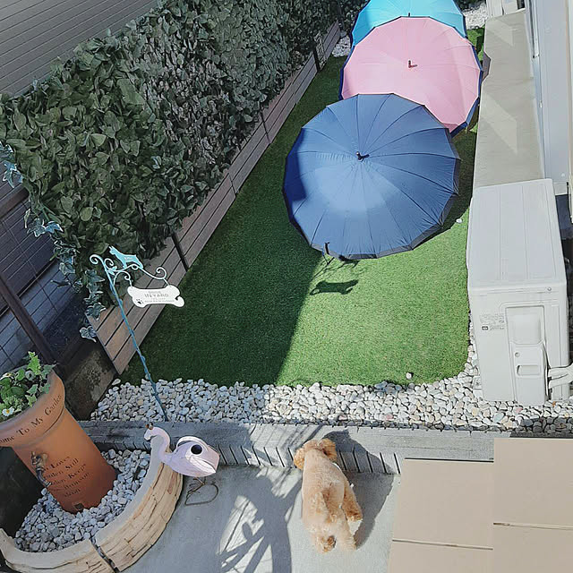Samさんの実例写真