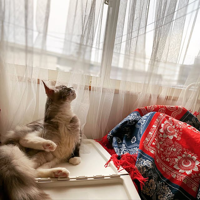 rarryさんの実例写真