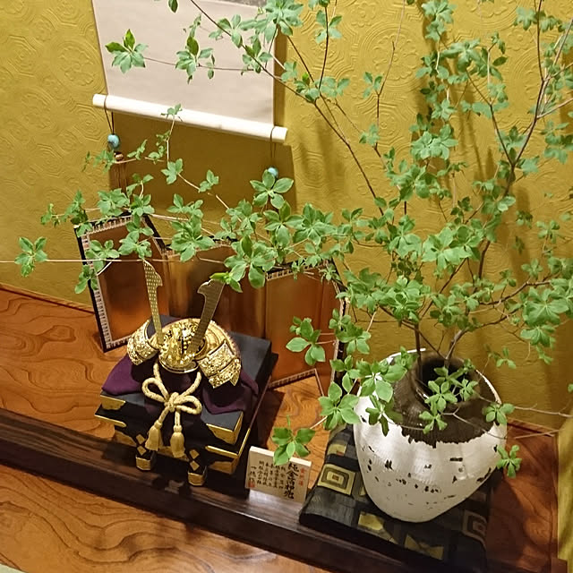 longneiさんの実例写真