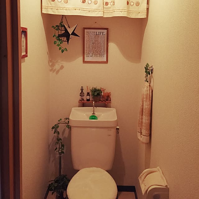 riaさんの実例写真