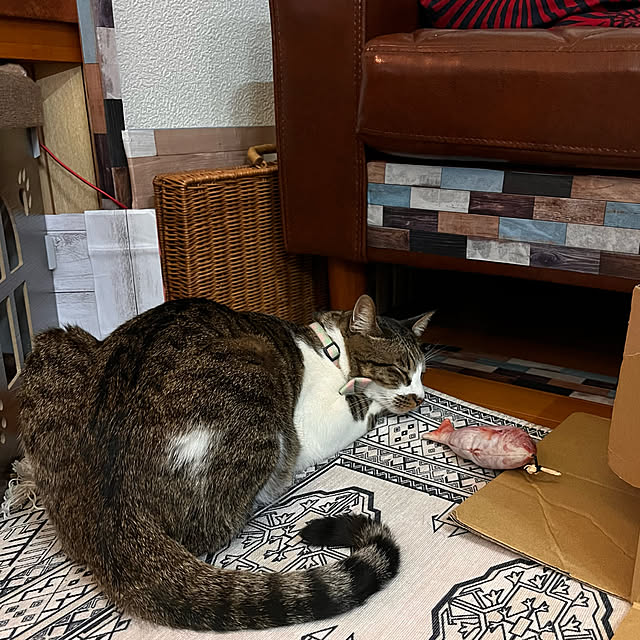 jijiさんの実例写真