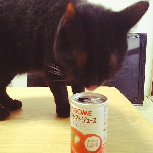 kuromiさんの実例写真