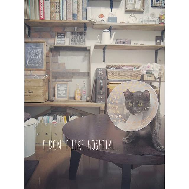 Ryoさんの実例写真