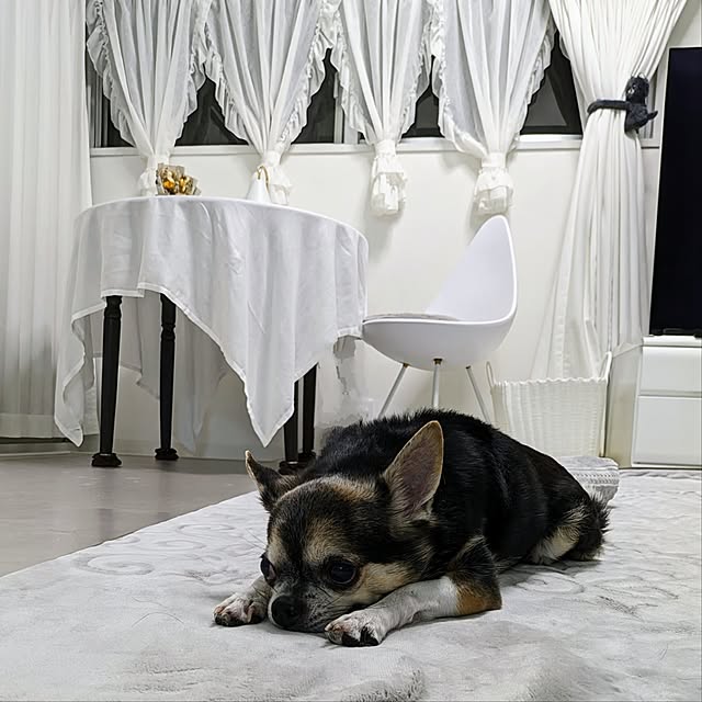 w+さんの部屋