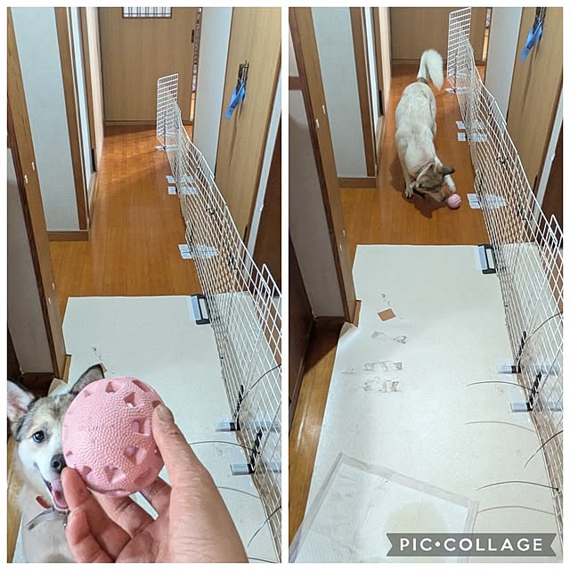 asaさんの実例写真
