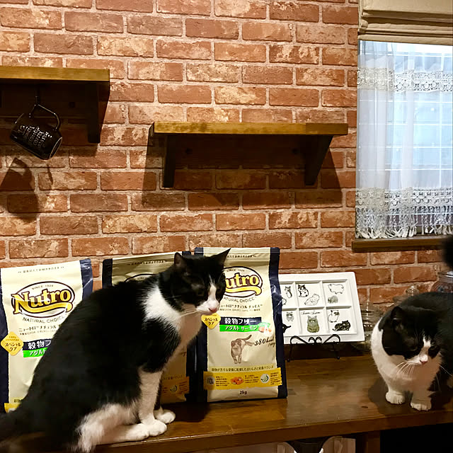 butachanさんの実例写真