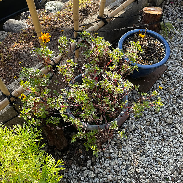 shin0719さんの部屋